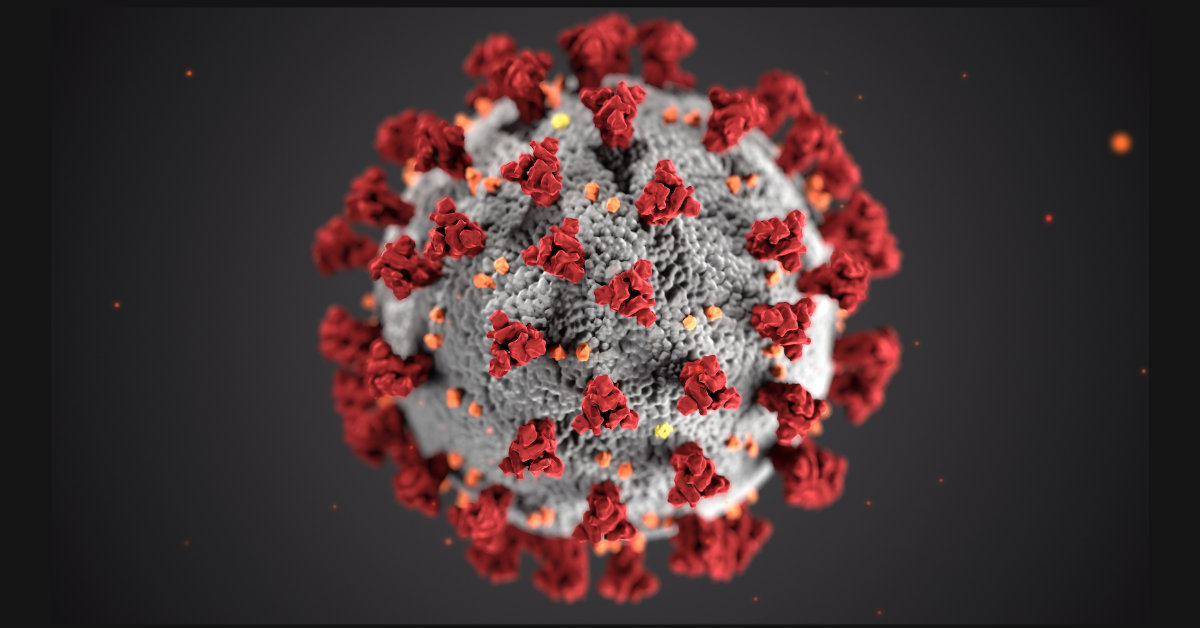 This illustration, created at the Centers for Disease Control and Prevention (CDC), reveals ultrastructural morphology exhibited by coronaviruses. Note the spikes that adorn the outer surface of the virus, which impart the look of a corona surrounding the virion, when viewed electron microscopically. The virion is a grey sphere with dark red spikes around it. There is a dark grey background behind it.
